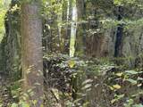 0 Todd Deer Lick Road - Photo 18