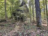 0 Todd Deer Lick Road - Photo 19