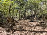 0 Todd Deer Lick Road - Photo 20