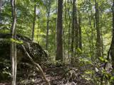 0 Todd Deer Lick Road - Photo 21