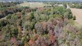 0 Todd Deer Lick Road - Photo 6