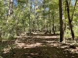 0 Todd Deer Lick Road - Photo 8