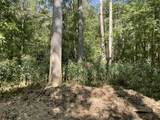 0 Todd Deer Lick Road - Photo 9
