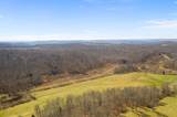 Tract 2 Kentucky Highway 185 - Photo 17