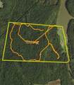 Tract 14 Hamilton-Lee Road - Photo 21