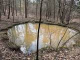 Tract 14 Hamilton-Lee Road - Photo 3