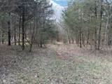Tract 14 Hamilton-Lee Road - Photo 8