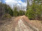 Tract 14 Hamilton-Lee Road - Photo 9