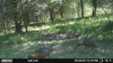 5705 Blue Level Road - Photo 6