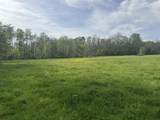 0 Lecta Kino Road - Photo 12