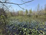 4050 Anna Sandhill Road - Photo 10