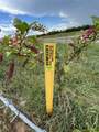 250 Spears Road - Photo 12