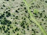 0 Hickory Creek Camp Road - Photo 21