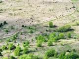 0 Hickory Creek Camp Road - Photo 4