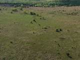 0 Hickory Creek Camp Road - Photo 6
