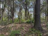 1997 Sunnyside-Gotts Road - Photo 38