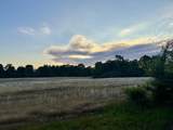 23.9 Acres Westbrook Road - Photo 3