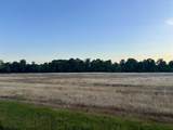 23.9 Acres Westbrook Road - Photo 4