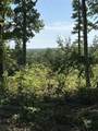 89 AC Cub Run Road - Photo 10