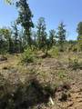 89 AC Cub Run Road - Photo 15