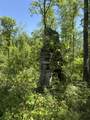 89 AC Cub Run Road - Photo 16
