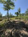 89 AC Cub Run Road - Photo 17