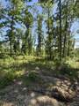 89 AC Cub Run Road - Photo 21