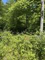 89 AC Cub Run Road - Photo 23