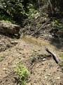 89 AC Cub Run Road - Photo 26