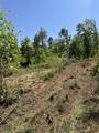 89 AC Cub Run Road - Photo 27