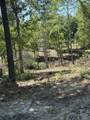 89 AC Cub Run Road - Photo 28