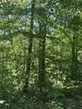 89 AC Cub Run Road - Photo 29