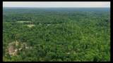 89 AC Cub Run Road - Photo 6