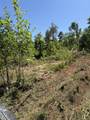 89 AC Cub Run Road - Photo 7