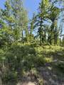 89 AC Cub Run Road - Photo 8