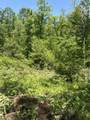 89 AC Cub Run Road - Photo 9
