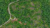 2826 Old Askins Road - Photo 4