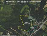 Tract 2 Pallet Mill Road - Photo 1