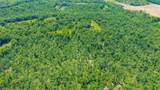 0 Clifty Hollow Road - Photo 16