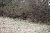 380 C W Jones Road - Photo 13