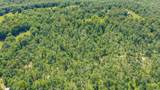 0 Clifty Hollow Road - Photo 6