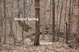 380 C W Jones Road - Photo 5