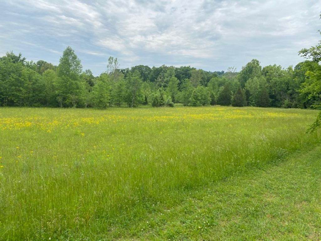 3019 Roundhill Sunfish Rd - Photo 1