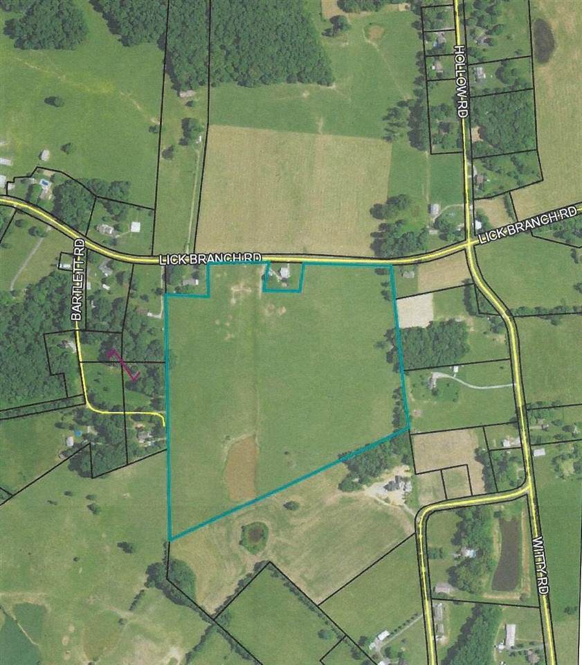 0 Lick Branch Road - Photo 1