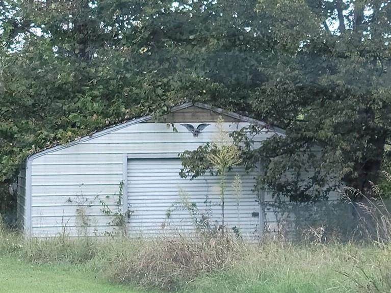 816 Pope Rd - Photo 1