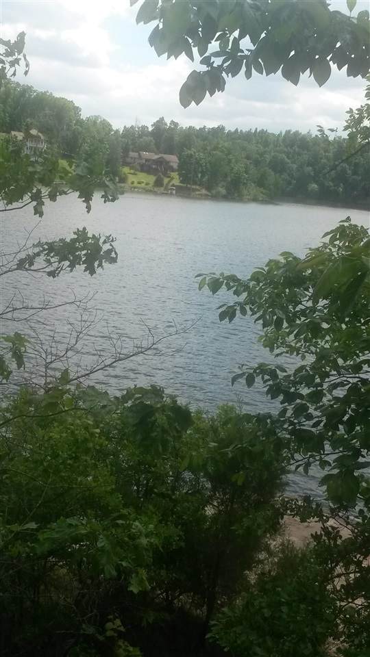 00 Gene's Point - Photo 1