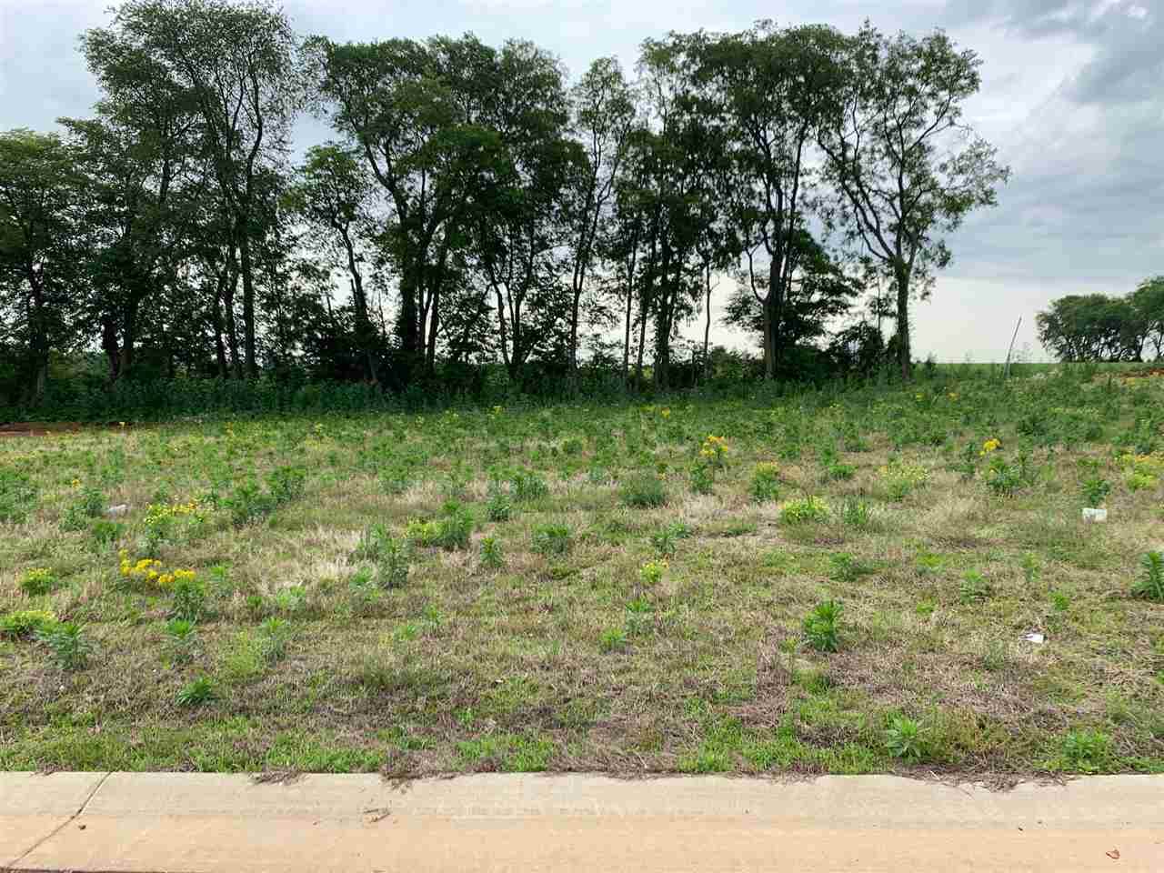 8800 Merrill Street - Photo 1