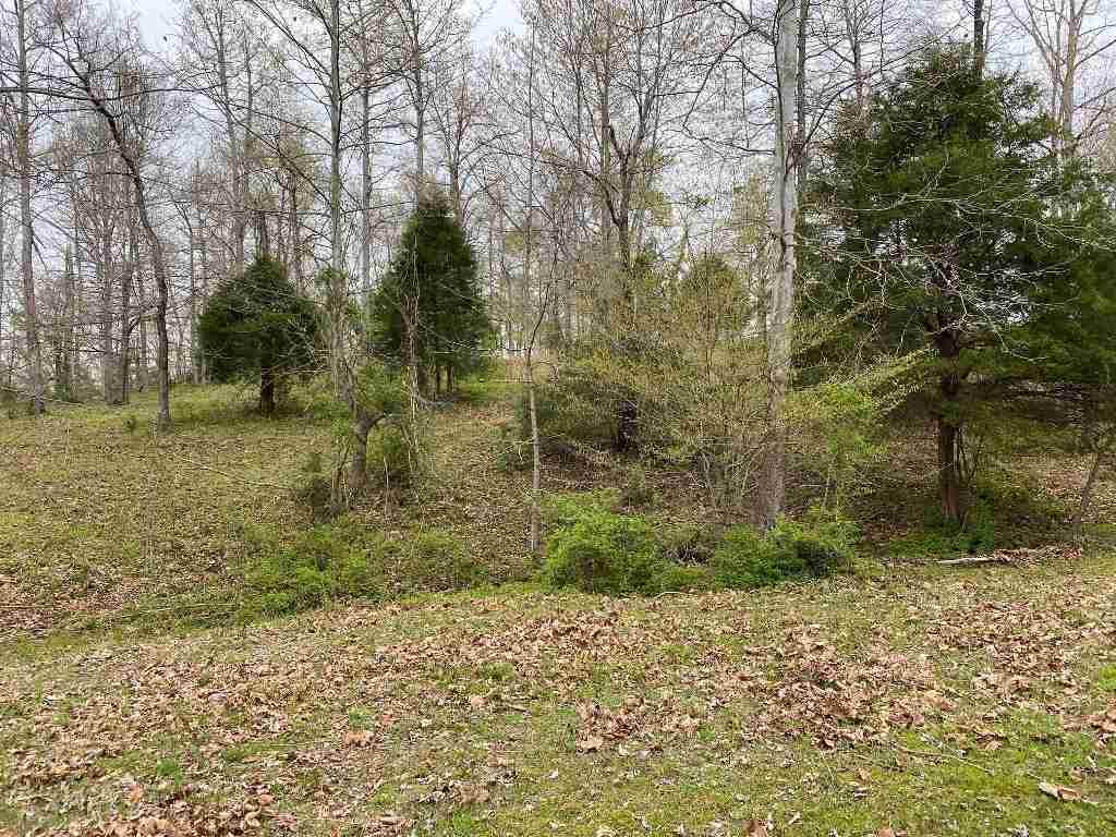 6766 Morgantown Road - Photo 1