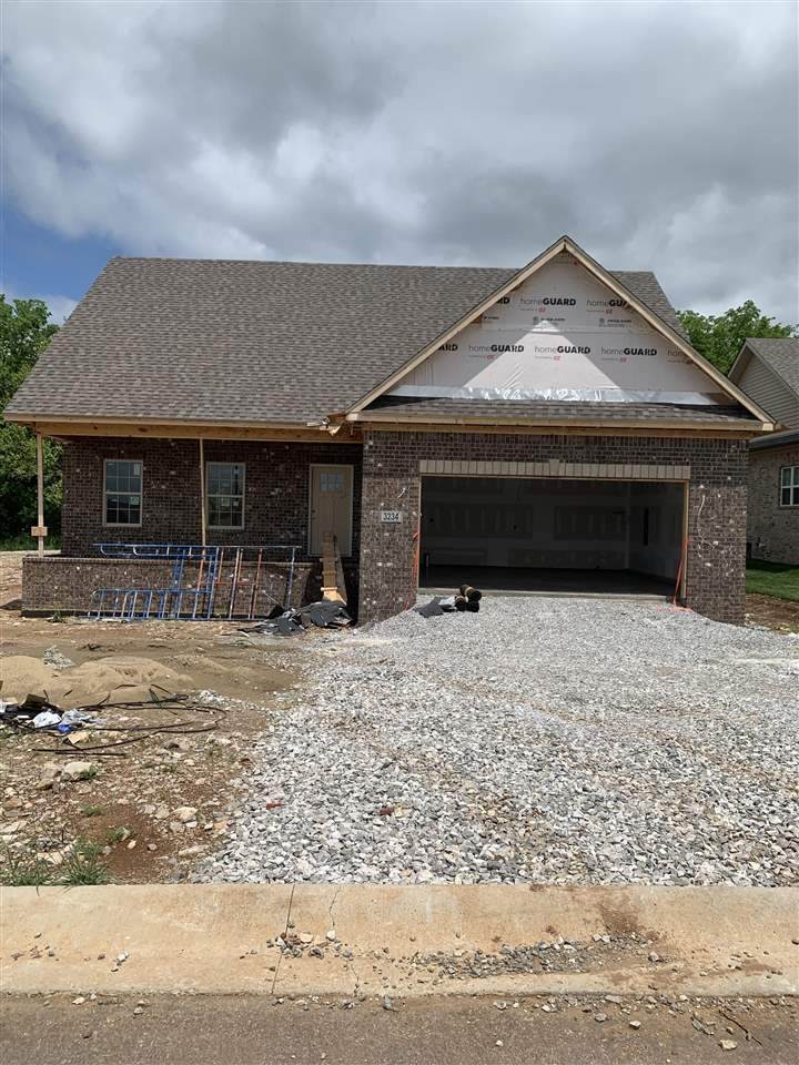 3234 Shadbush Way - Photo 1