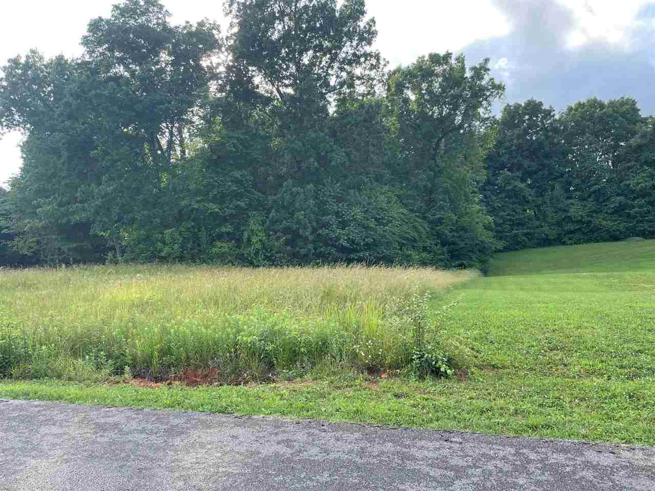 Lot #7 Old Hickory Lane - Photo 1